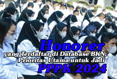 Honorer yang Terdaftar di Database BKN, Prioritas Utama untuk Jadi PPPK 2024