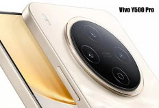 Vivo Y500 Pro terbaru 2025 Pengganti HP Kelas Menengah, Kamera dan Baterai Berkelas