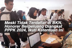 Meski Tidak Terdaftar di BKN, Honorer Berpeluang Diangkat PPPK 2024, Ikuti Ketentuan Ini