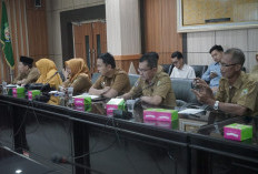Dukung Pengembangan Biodiesel Sawit, Pemprov Bengkulu Percepat Pendataan Perusahaan Sawit