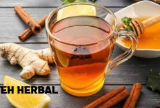 Diet Alami Tanpa Efek Samping, 8 Minuman Herbal Sebelum Tidur yang Bantu Turunkan BB di Jamin Ampuh