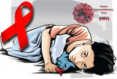 Dampak Pergaulan Bebas, 22 Warga Bengkulu Selatan Positif HIV AIDS