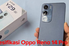 HP Vivo Y29 Terbaru 2025,   RAM 8 GB, Penyimpanan 256 GB  dan Nyaman Buat Anda Nelpon