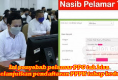 Pelamar PPG Tidak Dapat Mendaftar PPPK  Tahap Kedua, Simak di Sini Penyebabnya