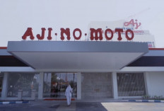 Info Loker di Ajinomoto Juni 2026 Lulusan D3 dan S1 Merapat, Cek Persyaratannya