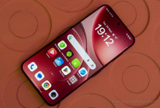 Bocoran Tiga Handphone Oppo Yang Hadir Dengan Warna Berani, Berikut Jenisnya