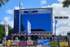 Kesalahan Data NIK Saat Pengajuan KUR BRI 2025, Jangan Panik Ini Solusinya!