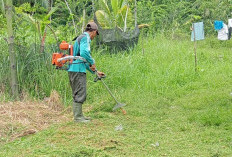 Pemdes dan warga Kebersihan Jalan Desa,  Begini Penjelasan Kades Tanjung Besar