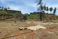 Instruksi Sudah Turun, Karena Merasa Tidak Adil, Relokasi Pedagang Pasar Bawah Gagal Total