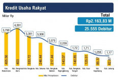 Bank Bengkulu Salurkan KUR Rp 10,99 Miliar, Berikut Sebaran KUR di Provinsi Bengkulu! 