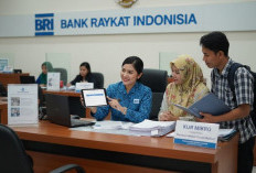 UMKM Wajib Tahu! KUR BRI 2026 Tawarkan Modal Murah, Simak Tabel Angsuran KUR Lengkap