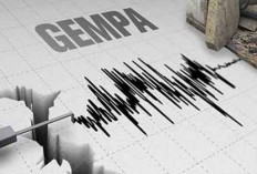 BIKIN CEMAS! Segini Jumlah Peristiwa Gempa di Bengkulu dalam 3 Bulan Terakhir