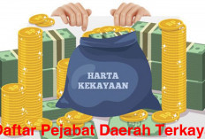 Kepala OPD di Bengkulu Selatan Masuk Daftar Pejabat Daerah Terkaya, Ternyata Segini Harta Kekayaannya