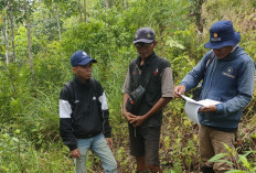 Penyaluran Bibit Sawit Gratis Harus Tepat Sasaran, Tim Survei Lahan Calon Penerima