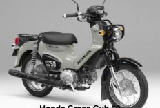 Honda Luncurkan Bebek Trail Cross Cub 50 Model 2025, Ini Spesifikasinya 