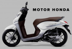 Tak Banyak yang Tahu, Ternyata Iniloh Jenis-jenis Motor Honda! Punyamu yang Mana Nih?