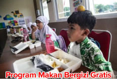 Broker Bermuncukan Jelang Program Makan Bergizi Gratis Diluncurkan 