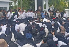 92 Calon PPPK Tahap II Pemprov Bengkulu Tuntas Isi DRH, Begini Tahapan Selanjutnya!