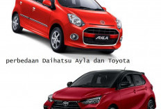 Bak Pinang Dibelah Dua, Ini 3 Perbedaan Daihatsu Ayla dan Toyota Agya