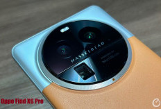 Kamera Oppo Find X6 Pro, Lengkap dengan Teknologi Sensor Al Bikin Foto Tetap Jernih