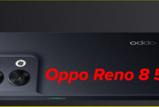 Kamera Setara Flagship: Oppo Reno 8 5G Bikin Hasil Foto Jernih pada Malam Hari!
