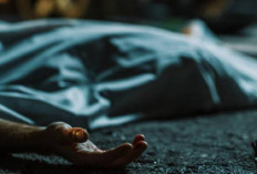 BREAKING NEWS! Warga Temukan Mayat di Kebun Kopi Air Nipis BS, Jasad Sudah Mengering