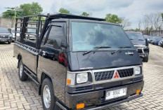 Daftar Biaya Pajak Tahunan Mitsubishi L300, Mulai 1,6 Jutaan