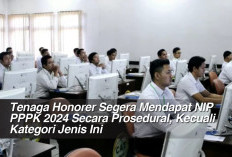 Tenaga Honorer Segera Mendapat NIP PPPK 2024 Secara Prosedural, Kecuali Kategori Jenis Ini