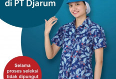 Lowongan Kerja di PT Djarum untuk Posisi Application Developer  Lulusan S1 Persilahkan Mendaftar