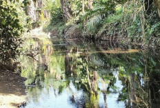 Kades Desak Hasil Uji Limbah Sungai Perumbaian Diumumkan, Siap Lapor Ulang Dugaan Pencemaran