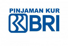 Ajukan Pinjaman KUR BRI 2025 Rp 90 Juta, Intip Cicilan, Syarat dan Cara Pengajuannya di Sini!