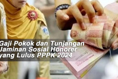 Gaji Pokok dan Tunjangan Jaminan Sosial Honorer yang Lulus PPPK 2024 