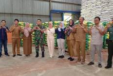 Jangan Panik! Selama Ramadan hingga Idul Fitri Stok Beras di Bengkulu Selatan Dipastikan Aman