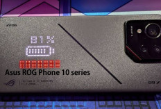 Bikin Para Gamer Shock, Ini Bocoran Spesifikasi Ekstrem Asus ROG Phone 10 series!