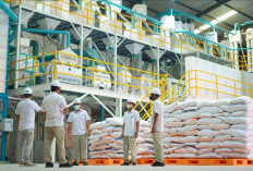 Tentang Bantuan Pangan, Begini   Pernyataan Bulog Bengkulu Terkini! 