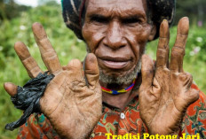Suku Tebesar di Papua Tradisi Potong Jari Bila Keluarga Meninggal