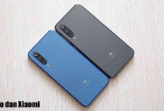 Handphone Oppo dan Xiaomi: Mana yang Lebih Unggul Soal Kualitas Kamera?