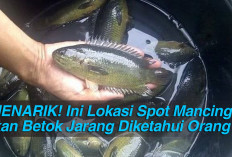 MENARIK! Ini Lokasi Spot Mancing Ikan Betok Jarang Diketahui Orang