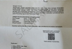 Persiapan Siaga Idul Fitri 1446 Hijriah, PLN Bintuhan Lakukan Pemadaman 17 Maret 2025