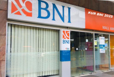 Ajukan Pinjaman KUR BNI 2025 Rp 150 Juta Dijamin Mudah dan Cepat, Ini Persyaratan dan Cicilannya!