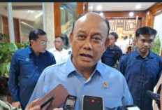 Alasan BGN Bekukan 1.512 Satuan Pelayanan Pemenuhan Gizi di Wilayah II Terutama Jatim dan Jabar