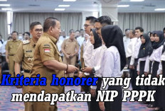 Rekrutmen PPPK Segera Dibuka, Ini Kriteria Honorer Tidak Mendapat NIP PPPK 2024 