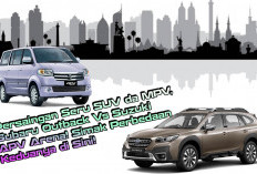 Persaingan Seru SUV da MPV, Subaru Outback Vs Suzuki APV Arena! Simak Perbedaan Keduanya di Sini!