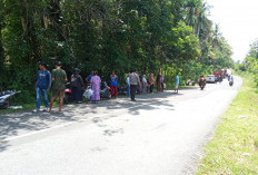 Sehari Dua Laka Lantas di Maje, di Sini Lokasinya!  