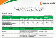 Bank Bengkulu Tawarkan KUR 2026 Plafon Rp 400 Juta, Ini Simulasi Angsurannya