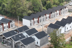 Bingung Cara Ingin Ambil KPR Subsidi, Begini Tips Mengurus Rumah Subsidi yang Benar!