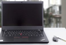 Laptop untuk Data Analyst Terbaik Apa Ya? Lirik 5 Produk Ini Yuk!
