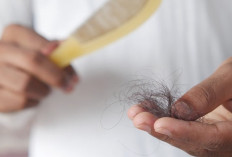 Rambut Rontok Bikin Pusing, Ini Dia Deretan Makanan yang Bisa Membantu Mengatasinya