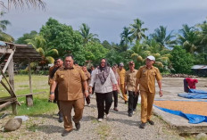 Jamin Kualitas Produksi Beras Lokal, Pemkab Bengkulu Selatan Operasikan Mesin Pengemasan