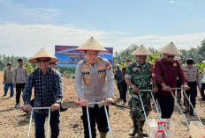 Dukung Swasembada Jagung Nasional,   Polres Kaur Tanam Jagung Kuartal I 